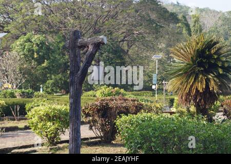 Street lamp in the Vazhani garden Stock Photo