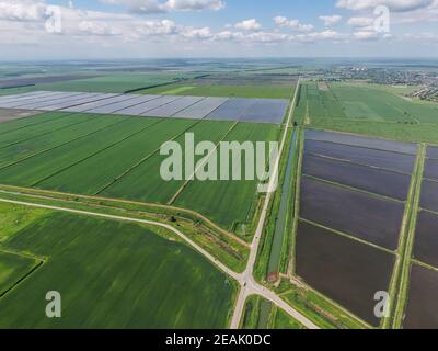 Flooded rice paddies. Agronomic methods of growing rice Stock Photo