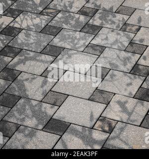 A fragment of the sidewalk covered with ceramic tiles Stock Photo
