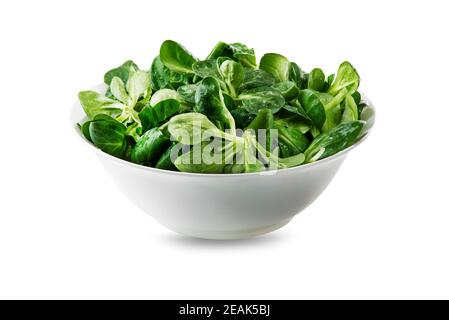 Corn salad Stock Photo
