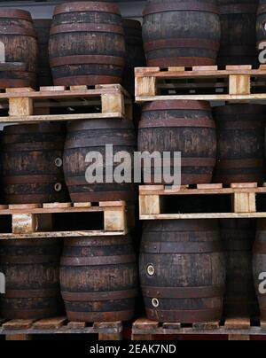 Pallets with vintage oak barrels of craft beer Stock Photo