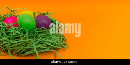 Four Colorful Easter Eggs Sitting in Green nest or Grass.Studio image. Stock Photo