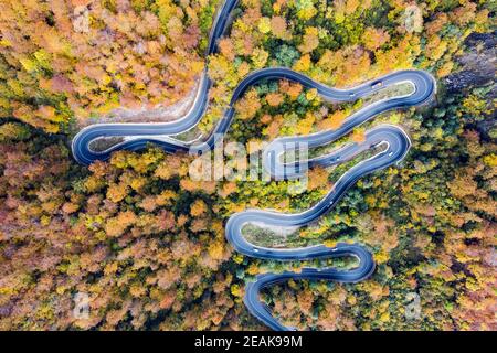 Aerial view of road in beautiful autumn forest at sunset. Stock Photo