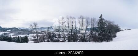 Panoramic view of the Alps in winter in Sonthofen, Allgäu, Germany Stock Photo