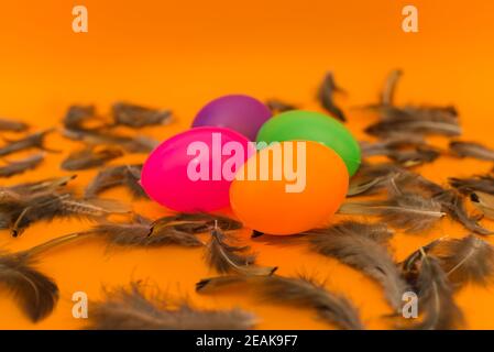 Easter easter colorful eggs and feathers spring colors eggs,spring season holidays concept. Stock Photo
