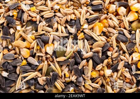 Background of  raw assorted seed and nuts for feeding wild birds. Stock Photo