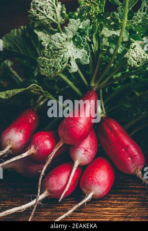 Bunch of fresh red radish Stock Photo