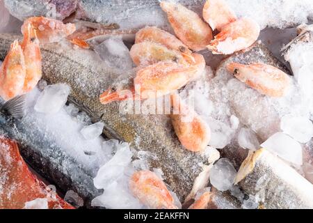 variety of frozen sea sustainable food, fish, shrimps, mackerel, hake, perch, trout, salmon with ice in market, fish store Stock Photo