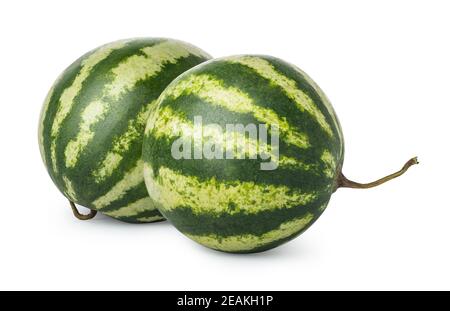 Two ripe watermelons Stock Photo