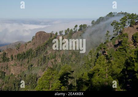 Morro del Visadero in the Integral Natural Reserve of Inagua. Stock Photo