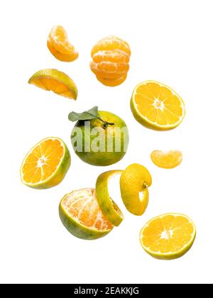 Green mandarines slices and whole levitation Stock Photo