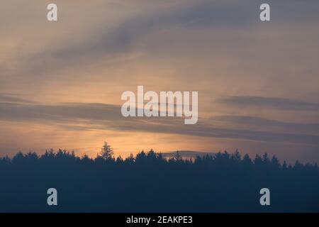 More sky copy space, pastel dusk colors after sunset behind a forest Stock Photo