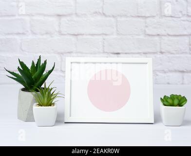 empty white wooden frame and green succulents in a ceramic pot on a white wall background Stock Photo