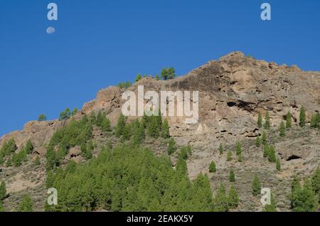 Cliff and moon in The Nublo Natural Monument. Stock Photo