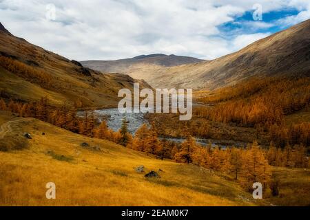 The altai mountains. landscape of nature on the Altai mountains and in the gorges between the mountains. Stock Photo