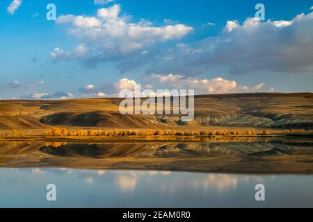 Golden autumn in forests of the Altai. Yellow trees in autumn near the reservoir. Stock Photo