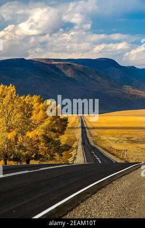 Asphalt road to the mountains. Mountain track on Altai. Stock Photo