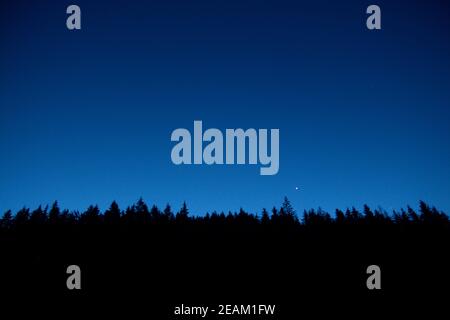 Night sky and silhouette backlit trees and forest. Low view angle of top trees. Clear sky Stock Photo