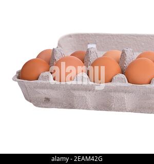 Ten brown eggs in a carton package Stock Photo