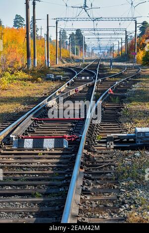 The railway passes through a beautiful autumn forest with colorful trees. Stock Photo