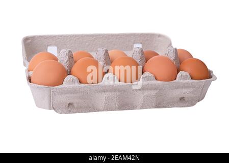 Ten brown eggs in a carton package Stock Photo