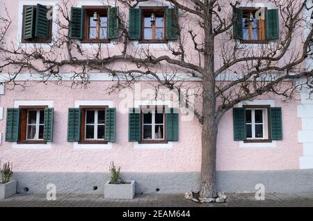 The tree grows next to the house in Hallstatt, Austria Stock Photo