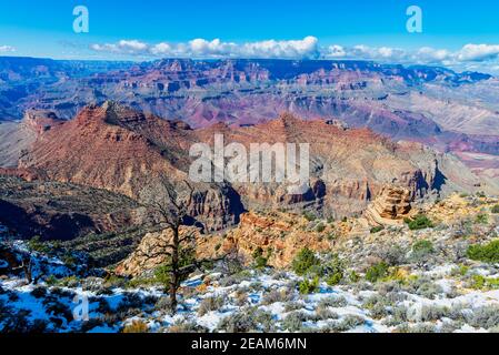 Snow in Grand Canyon National Park, USA Stock Photo