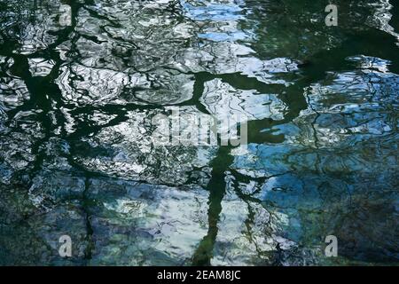background: water surface of the pond with sky and branches of leafless trees reflected in it Stock Photo