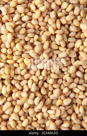 Pine nuts, without shells, in large quantities. Natural product. The view from the top. Copy space. Stock Photo