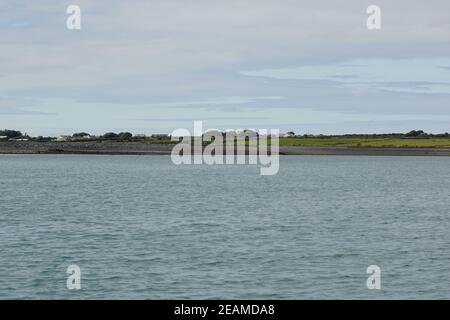 coast   Dolphin tour Carrigaholt Stock Photo