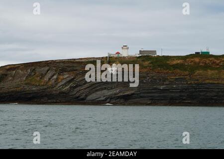 coast   Dolphin tour Carrigaholt Stock Photo