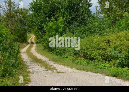 A single track white road in rural Friuli-Venezia Giulia, north east Italy, near Cividale del Friuli Stock Photo