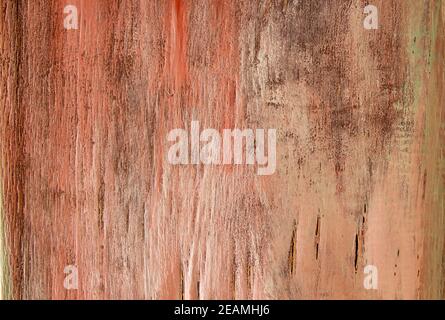 painted wood - abstract colorful background Stock Photo