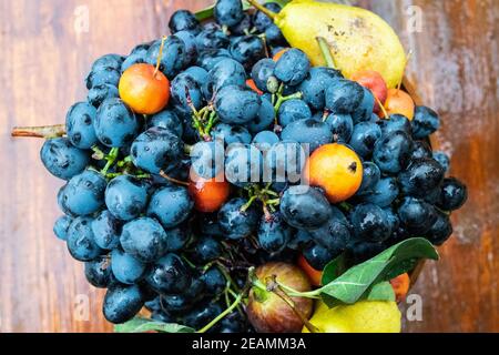 Blue grapes and pears in a vase. Fruit composition. Stock Photo