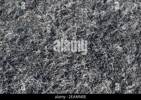 Background from the ashes of the burnt grass Stock Photo