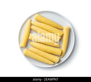 Pickled young baby corn cobs Stock Photo