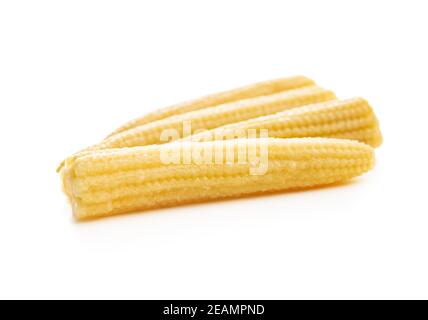 Pickled young baby corn cobs Stock Photo