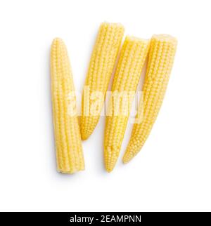 Pickled young baby corn cobs Stock Photo