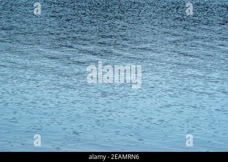 Clear blue water surface with gentle wave patterns Stock Photo