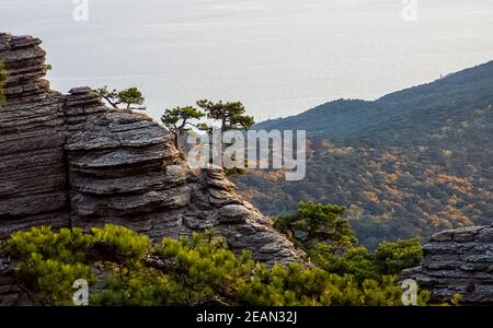 Mountains and forests of Crimea. coniferous and deciduous trees on the hills of mountains and rocks Stock Photo
