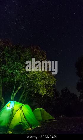 Tourist tents at night in woods. The lights are on in the tents. Stock Photo