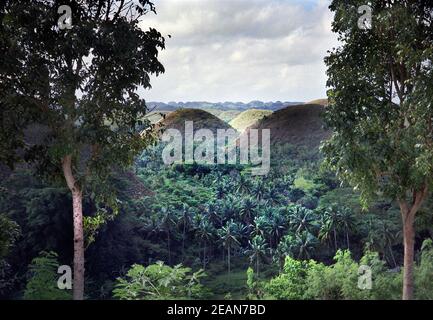 Chocolate Hills in the Philippinen Stock Photo