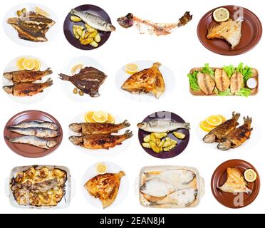 set of various fried fishes isolated on white Stock Photo