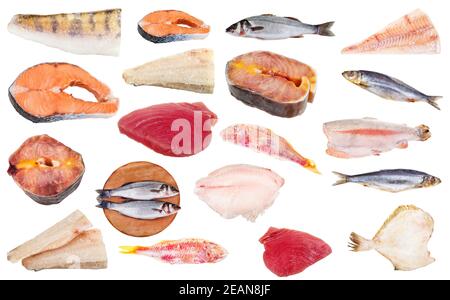 set of frozen raw fishes isolated on white Stock Photo