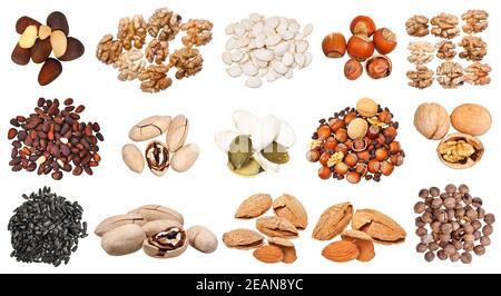 collection of various nuts isolated on white Stock Photo