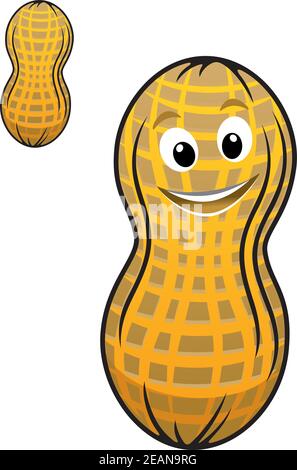 Happy cartoon peanut or ground nut in shell with a second variant without a face Stock Vector