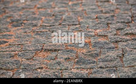 fragment cobblestones the old town. Selective focus Stock Photo