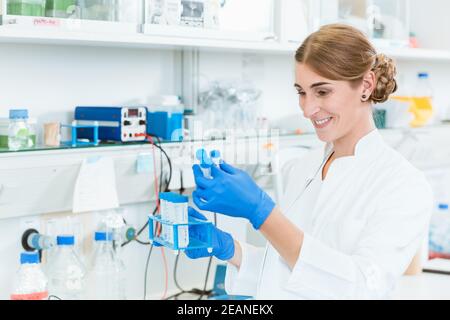Researcher looking at test-tubes Stock Photo