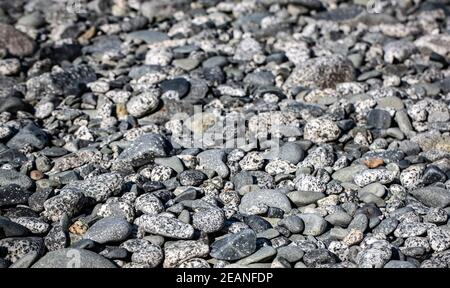 Grey Pebbles on the beach on ocean. Selective focus Stock Photo