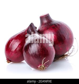 Three red onions on a white background Stock Photo